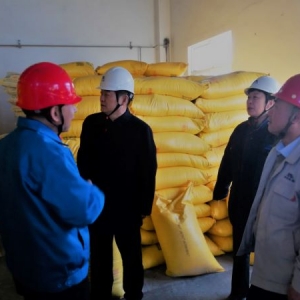 ��˾�I(l��ng)��(d��o)����һ��ο��������(d��o)�z�鴺��(ji��)���g��ȫ���a(ch��n)����