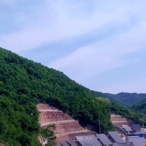 �V�I(y��)��˾����l(f��)��Ŀ���F(xi��n)�l(f��)�17�f��