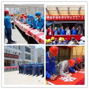 ��˾�_չ��ȫ���a(ch��n)���Ӄxʽ�߰�ȫ���}�������