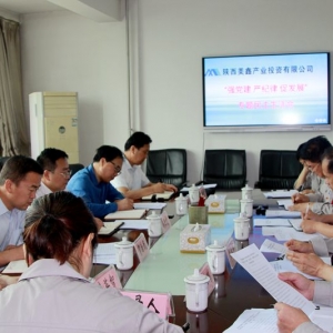 ��˾���_����(qi��ng)�h������(y��n)�o(j��)�����ٰl(f��)չ�����(xi��ng)�����I(l��ng)��(d��o)���ӌ��}���������