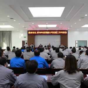 ���F(tu��n)��˾��(du��)���ι�˾�I(l��ng)��(d��o)�����_(k��i)չ2019����h���������u(p��ng)