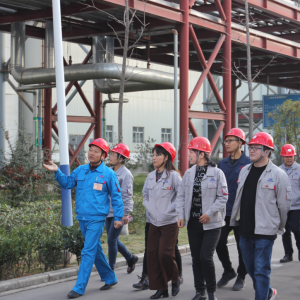 �Ї���ɫ���٣������v����ߡ��������I(l��ng)�³��B(t��i)���k���ҹ���