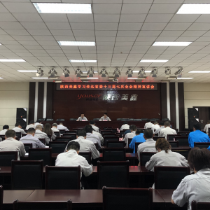 ������ι�˾���_�й����ʡίʮ�����ߴ�ȫ��(hu��)�������v��(hu��)