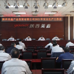 ��˾���_2021��Ȱ�ȫ���a(ch��n)������(hu��)