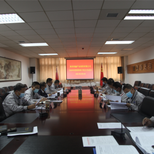 ������ι�˾�hί���_2020������������(hu��)