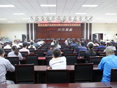 ��˾�����_չ2021��Ƚ������W���