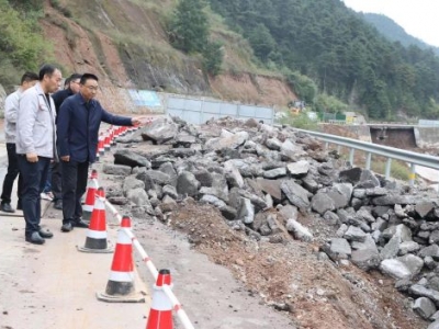 ��˾�I(l��ng)��(d��o)����V�I(y��)��˾�z�鿹���ܞ�(z��i)��r