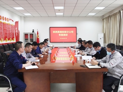 �����ɫ���ټ��F(tu��n)�hίί�T��������(j��ng)�������۵���˾�{(di��o)��