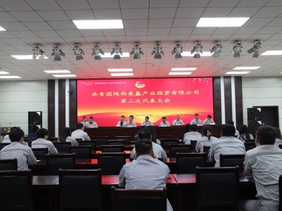 �����F������ήa(ch��n)�I(y��)Ͷ�Y���޹�˾�ڶ��δ�������ɹ����_