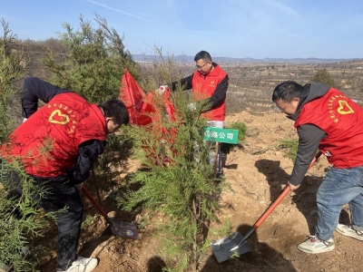 ��˾�_չ������ֲ���x��(w��)������ɭ���~����ֲ����