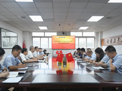 ��˾�������ɲ��_չ��ǰ���wՄԒ