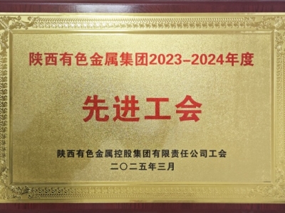 ��˾����(hu��)�s�@�������ɫ���ټ��F(tu��n)2023-2024������M(j��n)����(hu��)���s�u(y��)�Q̖(h��o)