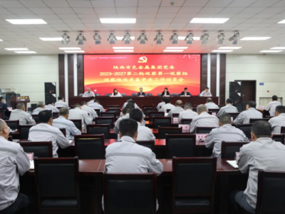 �����ɫ���ټ��F(tu��n)�hί2023-2027�ڶ�݆Ѳ���һѲ��MѲ��������ι�˾�hί������(d��ng)�T��(hu��) ...